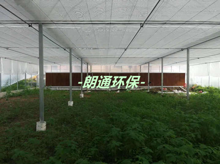 農科所種植大棚的負壓風(fēng)機+水簾項目