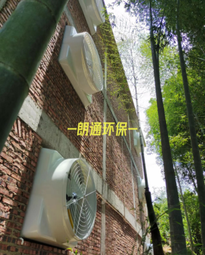 樓層式豬舍的通風(fēng)降溫系統安裝